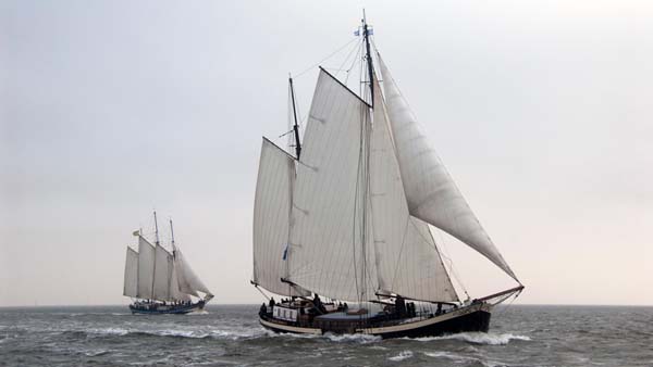 Regatta for flat-bottomed sailing ships