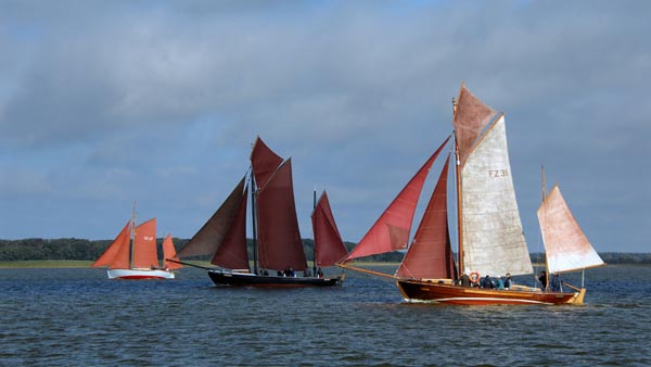 Zeesenboots sailing the regatta