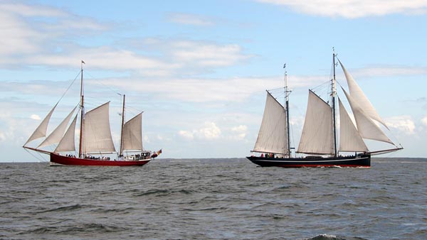 Logger zur Hanse Sail Rostock