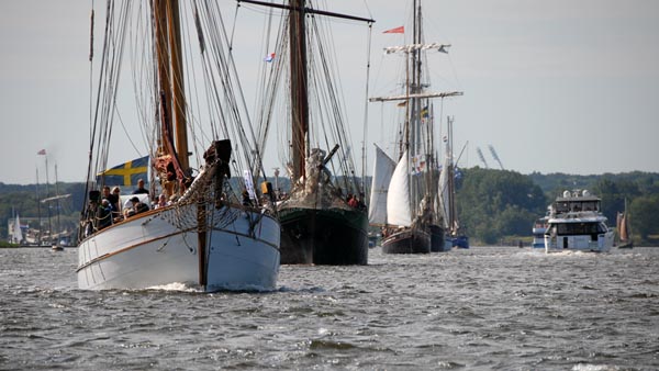 Sailing trip on the river Warnow at Hanse Sail 2024