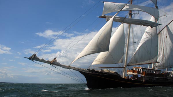 3-masted topsail schooner "Gulden Leeuw"