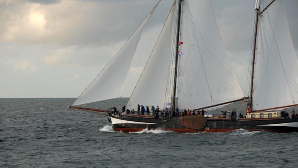 Sailing in the evening on sailing ship "Pegasus"