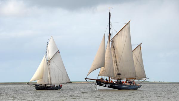 "Elbe" und "Präsident Freiherr von Maltzahn" beim Rhinplatte Rund 2024.