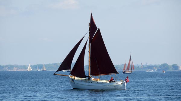 Gaff rigged cutter "Alliance"