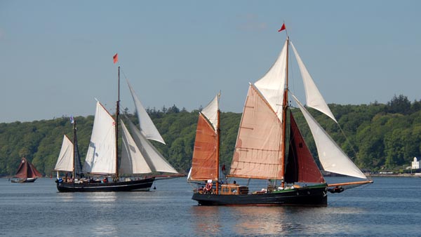 Leider Flaute bei der Rumregatta