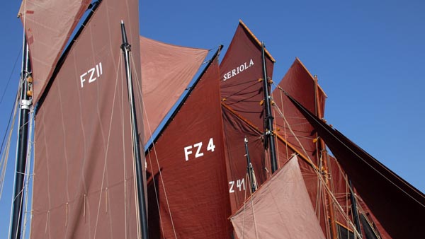 The brown colour of sails - like a trademark