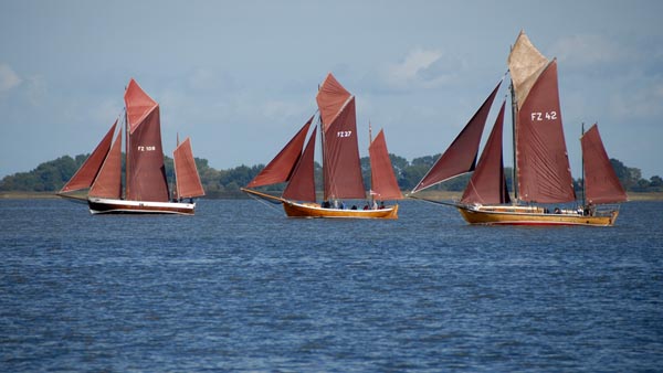 Zeesenboat regattas in 2025